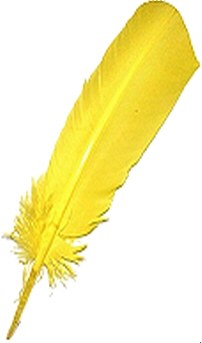 Large Yellow Quill Feathers (Pack 200)