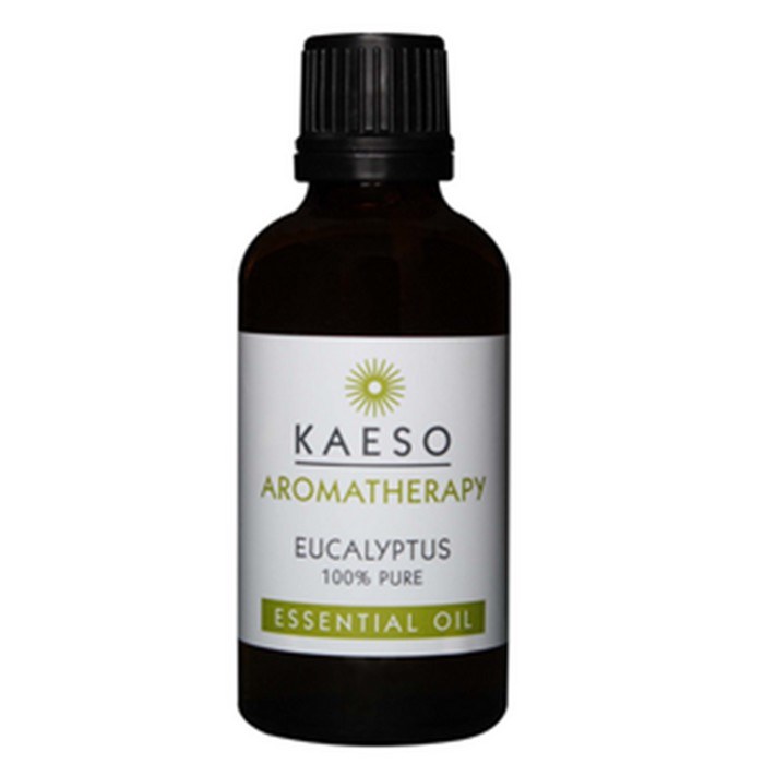 Kaeso Aromatherapy  Eucalyptus Essential Oil 50Ml