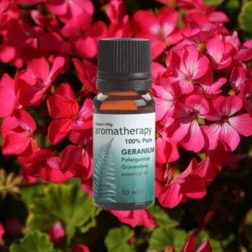 Natures Way Geranium 10 Ml