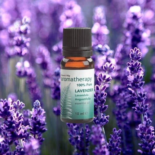 Natures Way Lavender 10 Ml