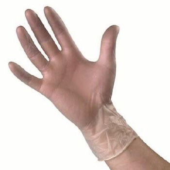 Head Gear  Vinyl Powder Free Gloves Large   (100) pk