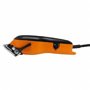 Gama Absolute Fade