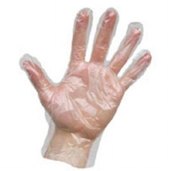 Agenda Poly Gloves (100)