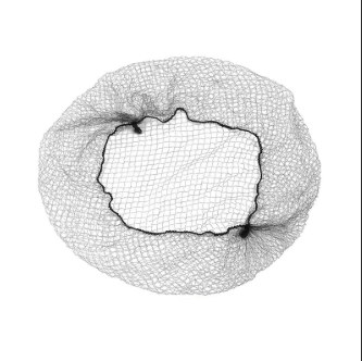 Bifull Hai Net Nylon