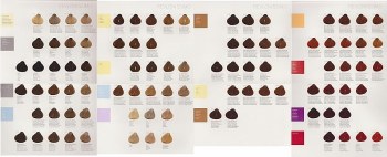 Revlonissimo Colormestique 200