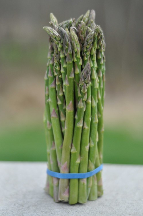 Asparagus