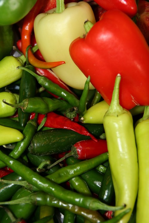 Bell/Banana Pepper (local)