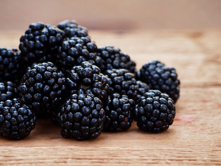 Blackberries Quart