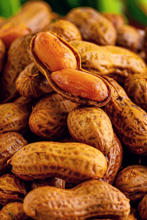 Boiled PeanutsLarge