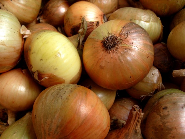 Edisto Sweets Onions