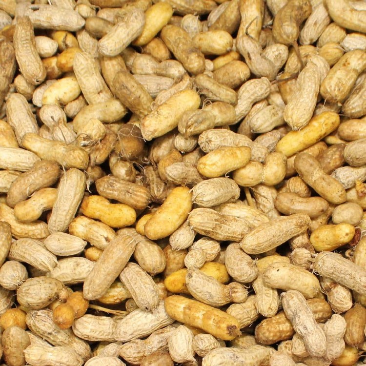 Green Peanuts by the Pound (summer season)