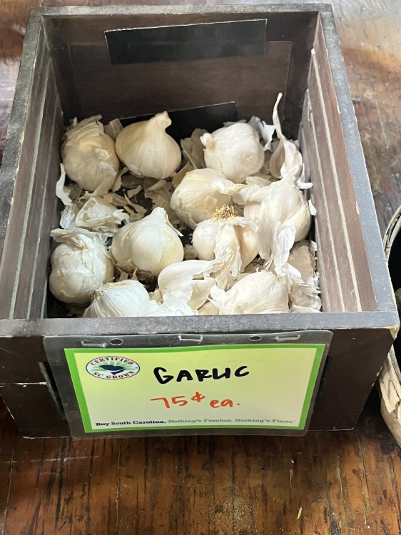 Garlic