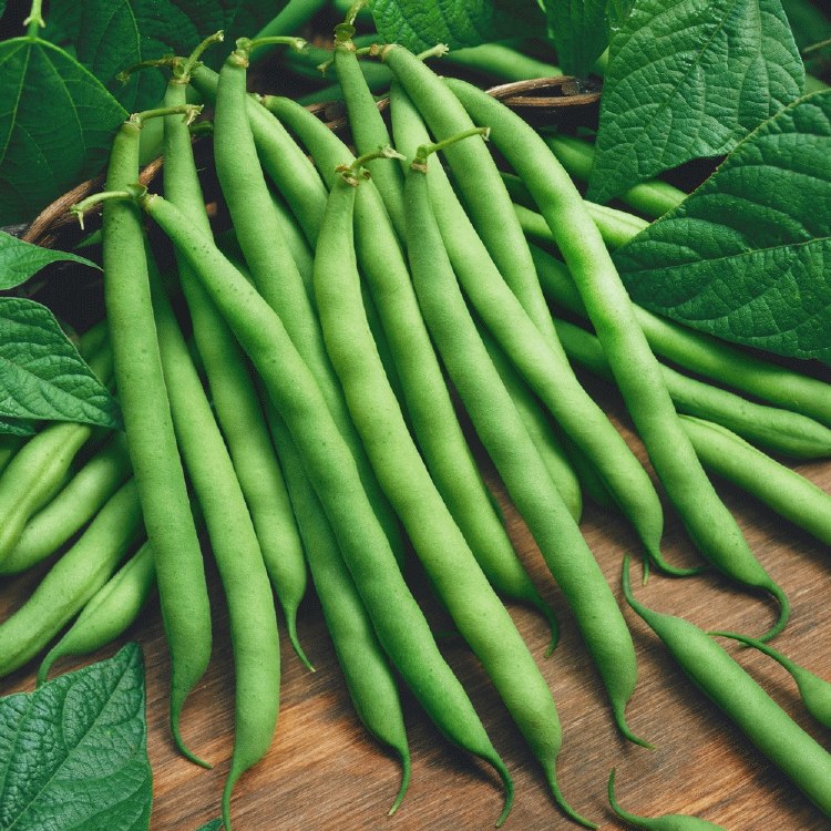 Pole Beans