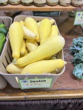 Yellow Squash