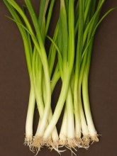 Spring Onions