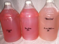 Connell - Inside- Quart