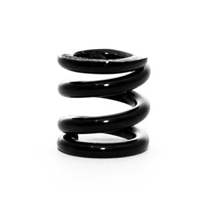Springs Bully Black