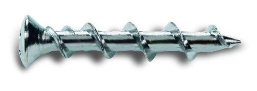 WALL DOG,WHITEOVAL HEAD 1-1/4"