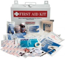 FIRST AID KIT, 16 UNIT, W/ PLASTIC CASE