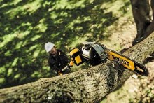 Additional picture of Saw Pole 20V Max XR Cordless Brushless 8" Bar 15' Reach Kit (1) Battery (1) Charger (1) Extension Pole
