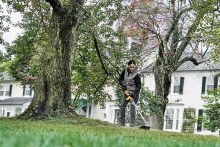 Additional picture of Trimmer 20V Max Cordless Brushless 14" Folding Dewalt (Bare Tool)