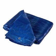 TARP, 50' X 100', POLY BLUE