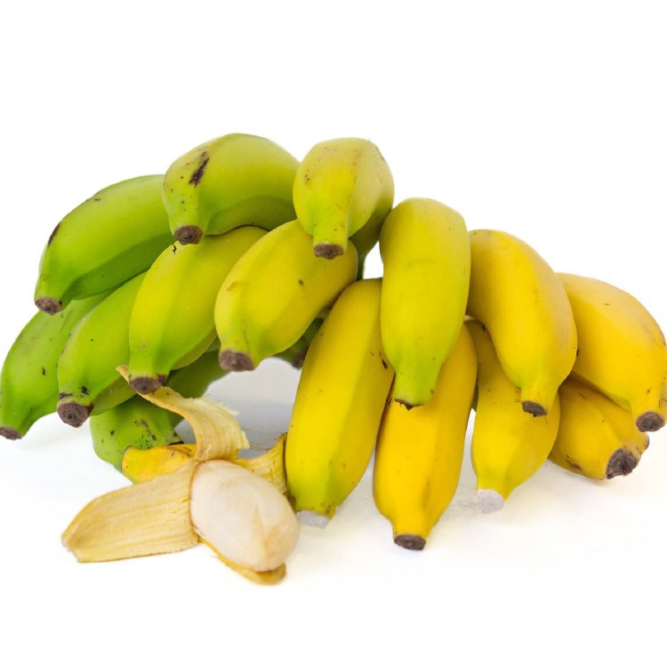 Baby Banana Bunch