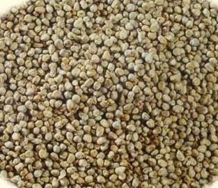 Bajri Whole 11lb