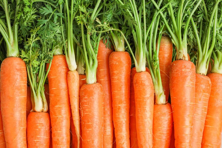 Carrots 1 lb Bag