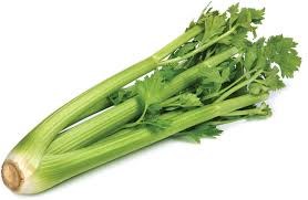 Celery 1 Stalk