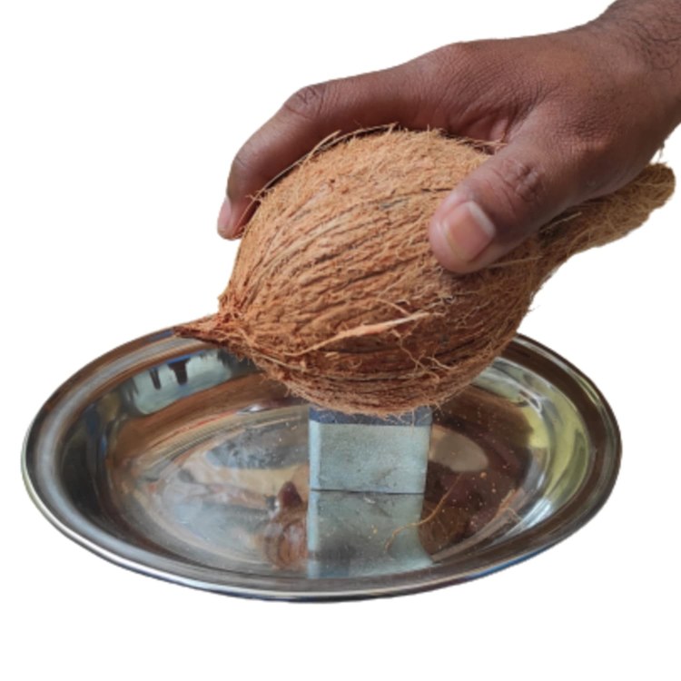 Coconut Breacker Big