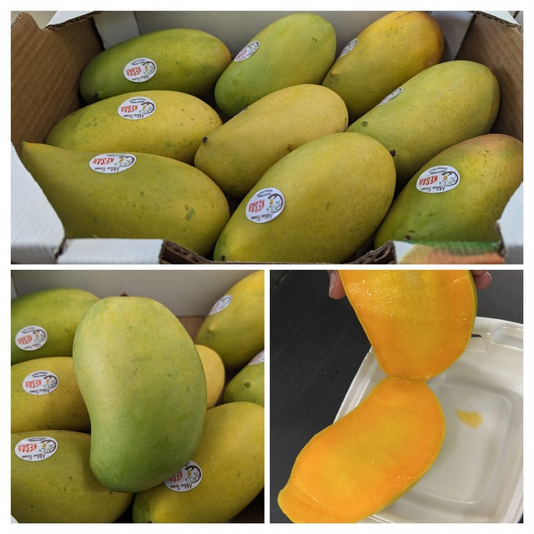 Dominican Kesar Mango EZ INDIAN GROCERY