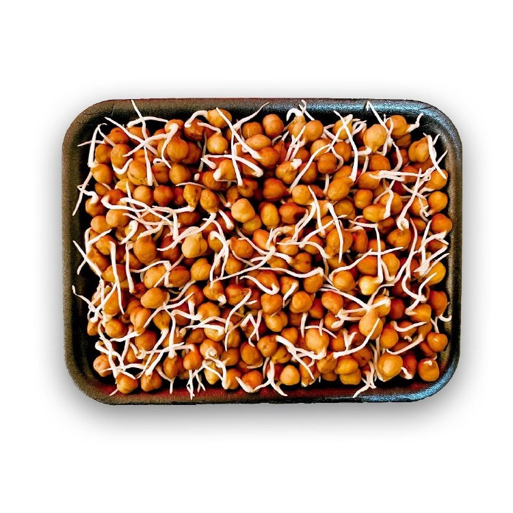 Fresh Chana Sprout