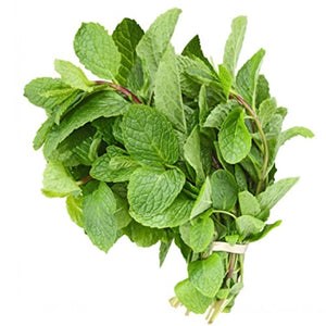 Mint Leaf Bunch