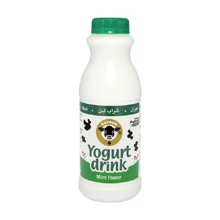 Mint Yogurt Drink Karoun 16 Oz