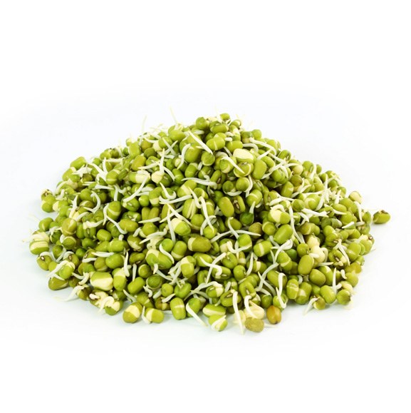 Moong Bean Sprout Fresh