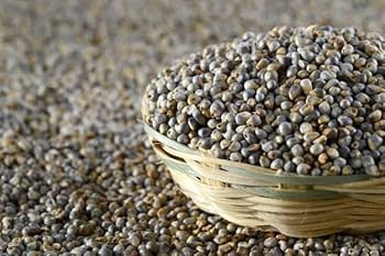 Pearl Millet 2 Lb - Bajra
