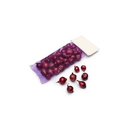 Pearl Onion Red