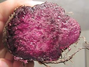 Ratalu (purple Yam)