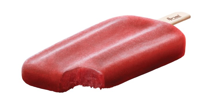 Arun Likstick Grape Bar