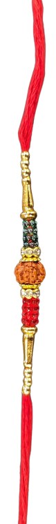 Rudraksh Rakhi