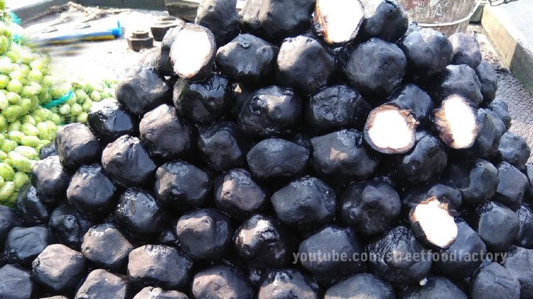 Shingoda Water Chestnut