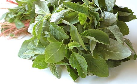 Thotukora Leaves Bunch