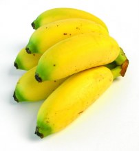 Baby Banana Bunch