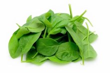Organic Baby Spinach