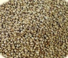 Bajri Whole 11lb