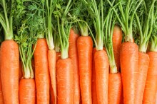 Carrots 1 lb Bag