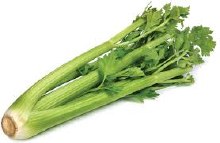 Celery 1 Stalk