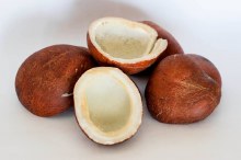 Coconut Halves 4 Pcs