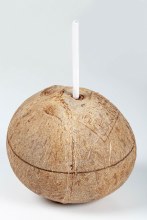 Coconut Straw